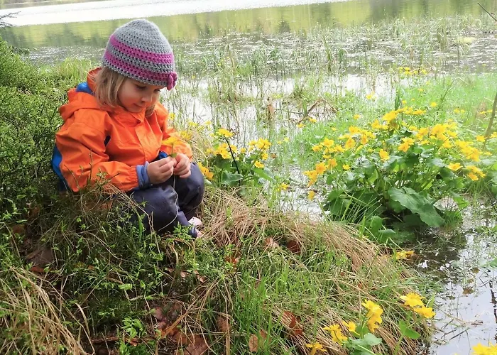 Blockhaus-baernkopf Guest house Barnkopf